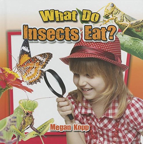 What Do Insects Eat? by Megan Kopp