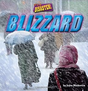 Blizzard by Joyce L. Markovics