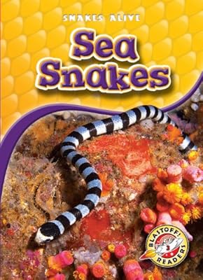 Sea Snakes