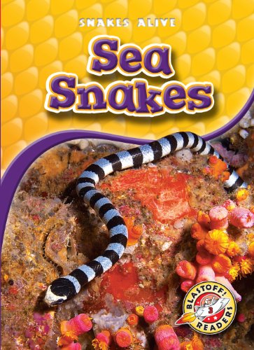 Sea Snakes by Colleen Sexton