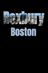 Roxbury: Boston Neighborhood Skyline