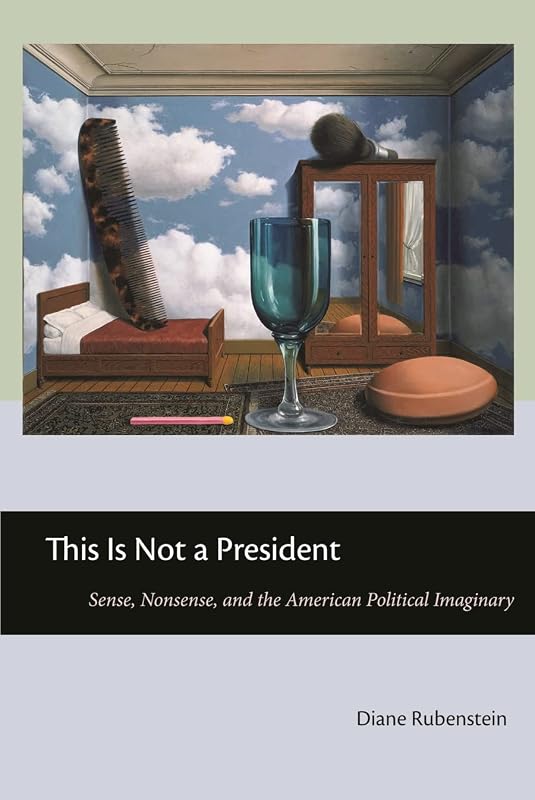 This Is Not a President: Sense, Nonsense, and the American Political Imaginary by Diane Rubenstein