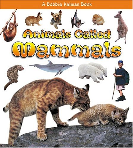 Animals Called Mammals by Bobbie Kalman