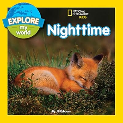 Explore My World Nighttime