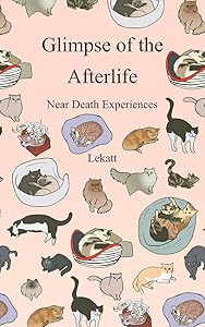 Glimpse of the Afterlife: Near Death Experiences by Kenneth Kattein