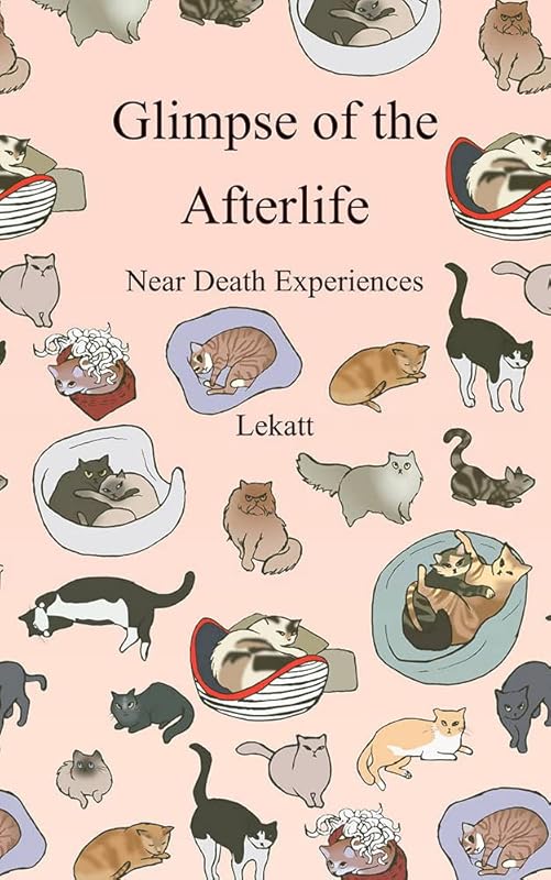 Glimpse of the Afterlife: Near Death Experiences by Kenneth Kattein