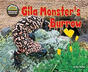Gila Monster's Burrow