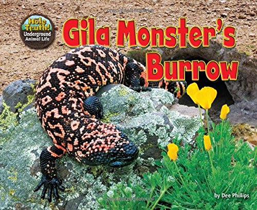 Gila Monster's Burrow by Dee Phillips