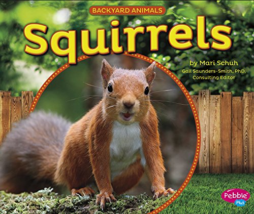 Squirrels by Mari Schuh