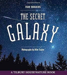 The Secret Galaxy