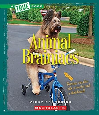 Animal Brainiacs