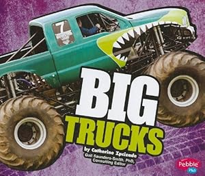 BIG Trucks by Catherine Ipcizade
