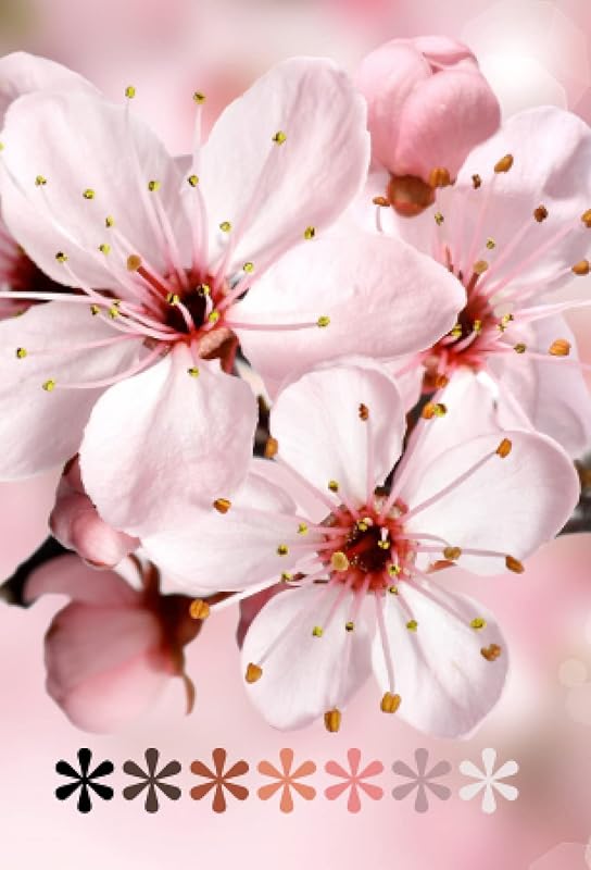 Cherry Blossom Password Book by Christina Leyvas