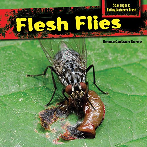 Flesh Flies by Emma Carlson Berne