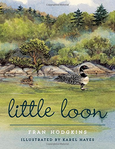 Little Loon by Fran Hodgkins