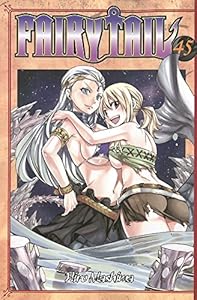 Fairy Tail 45