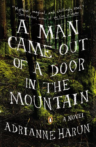 A Man Came Out of a Door in the Mountain by Joyce Carol Oates