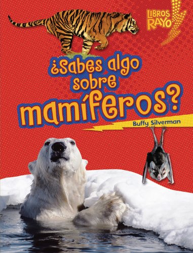 ..Sabes algo sobre mamÂ¡feros?/ Do You Know about Mammals? (Libros Rayo - Conoce Los Grupos De Animales /Lightning Bolt Books T - Meet the Animal Groups)) (Spanish Edition) by Buffy Silverman