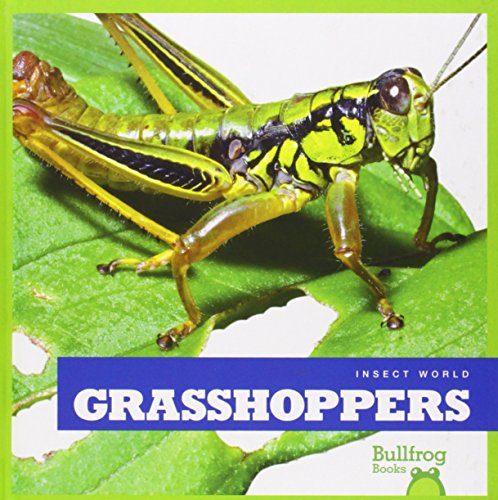Grasshoppers by Mari Schuh