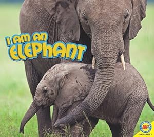 I Am an Elephant