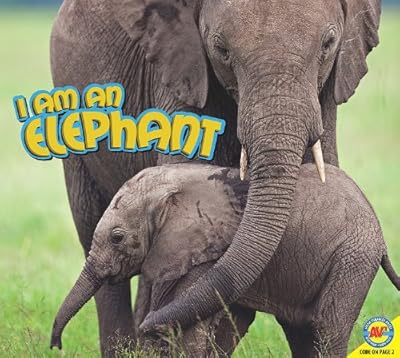 I Am an Elephant