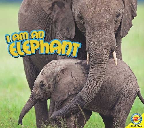 I Am an Elephant by Aaron Carr