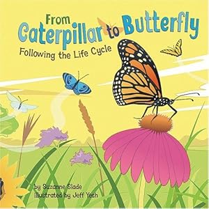 From Caterpillar to Butterfly: Following the Life Cycle (Amazing Science)
