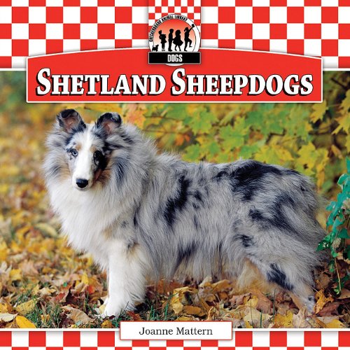 Shetland Sheepdogs by Joanne Mattern