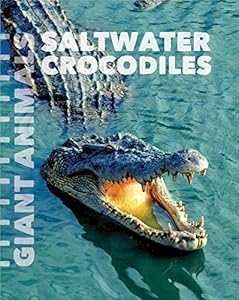 Saltwater Crocodiles by Susan Schafer