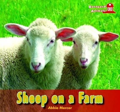 Sheep on a Farm