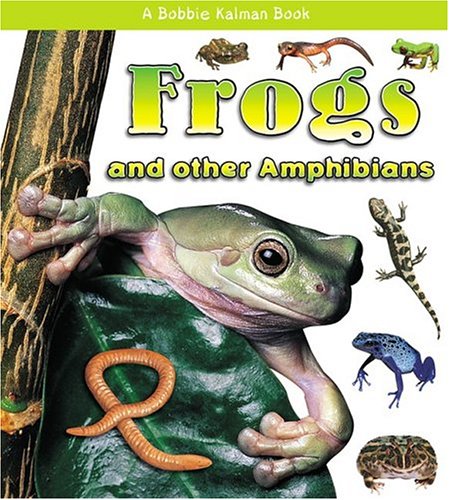 Frogs and Other Amphibians (What Kind of Animal Is It?) by Bobbie Kalman