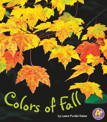 Colors of Fall by Laura Purdie Salas