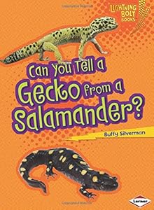 Can You Tell a Gecko from a Salamander?