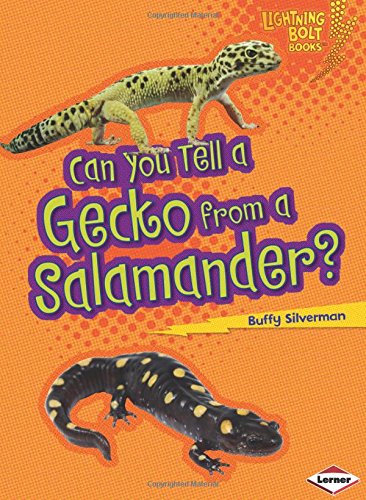 Can You Tell a Gecko from a Salamander? by Buffy Silverman