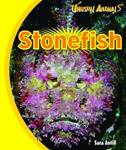 Stonefish