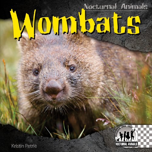 Wombats by Kristin Petrie