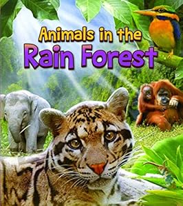 Animals in the Rain Forest