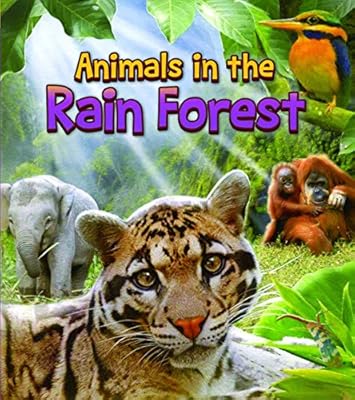 Animals in the Rain Forest