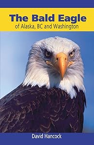 Bald Eagle of Alaska, BC and Washington by David Hancock