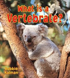 What Is a Vertebrate? (Big Science Ideas)