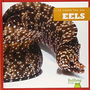 Eels by Cari Meister