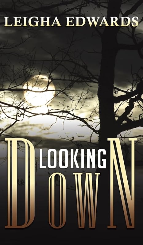 Looking Down by Leigha Edwards