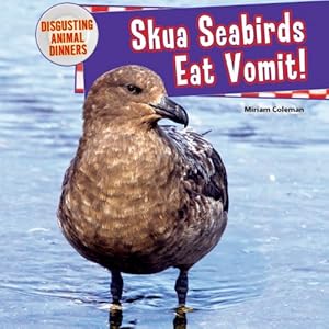 Skua Seabirds Eat Vomit!