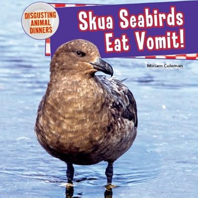 Skua Seabirds Eat Vomit!