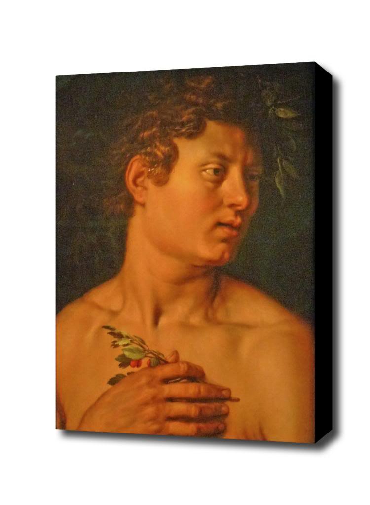 

Hendrick Goltzius Adam Canvas Art Print, with 1.5 inch Deep Frame BLACK edge; 12 X 16