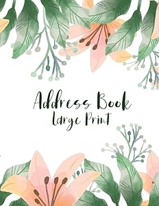 Large Print Address Book: for Seniors, Address Book A-Z Alphabet Tabs Index, Size 8.5x11 inches, Orange Lily Cover by LargePress. Studio