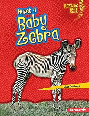 Meet a Baby Zebra