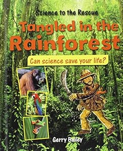 Tangled in the rainforest