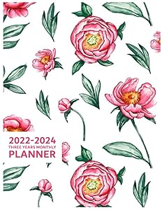 2022-2024 Three Years Monthly Planner: Pretty Pink Floral Monthly Planner 22-24, 38 Months Starting from December 2021 to January 2025, Beautiful ... Design Cover with Agenda (2022 Series) by HmArtist Planner