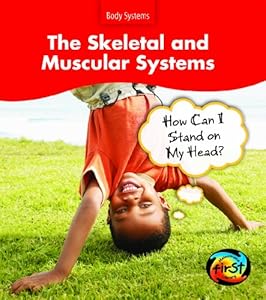 The Skeletal and Muscular Systems: How Can I Stand on My Head? (Heinemann First Library)
